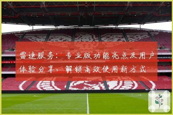 雷速服务：专业版功能亮点及用户体验分享，解锁高效使用新方式