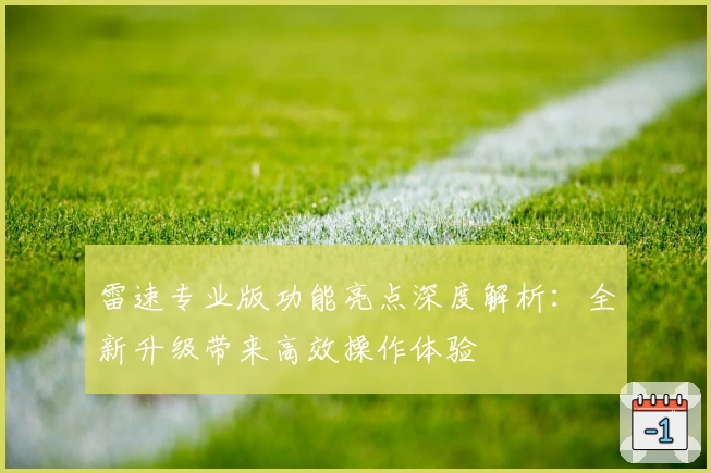 雷速专业版功能亮点深度解析:全新升级带来高效操作体验