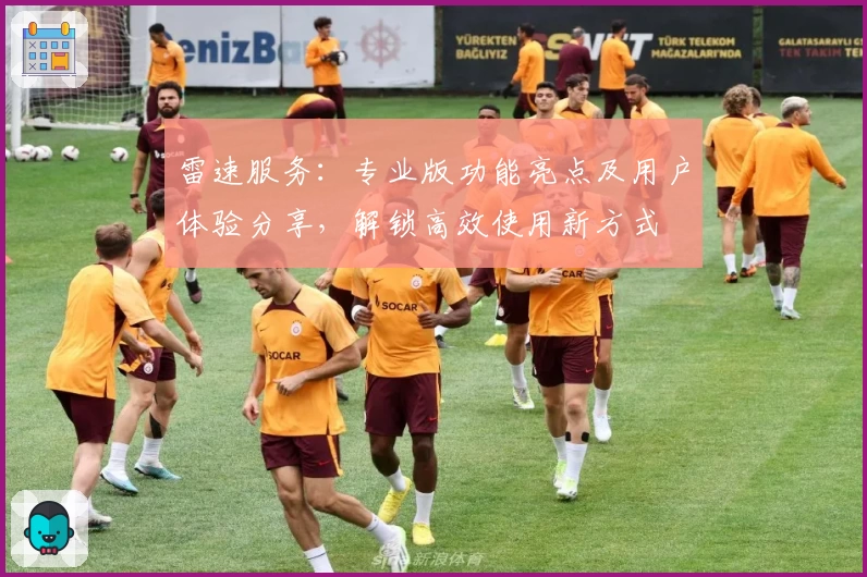 雷速服务：专业版功能亮点及用户体验分享，解锁高效使用新方式